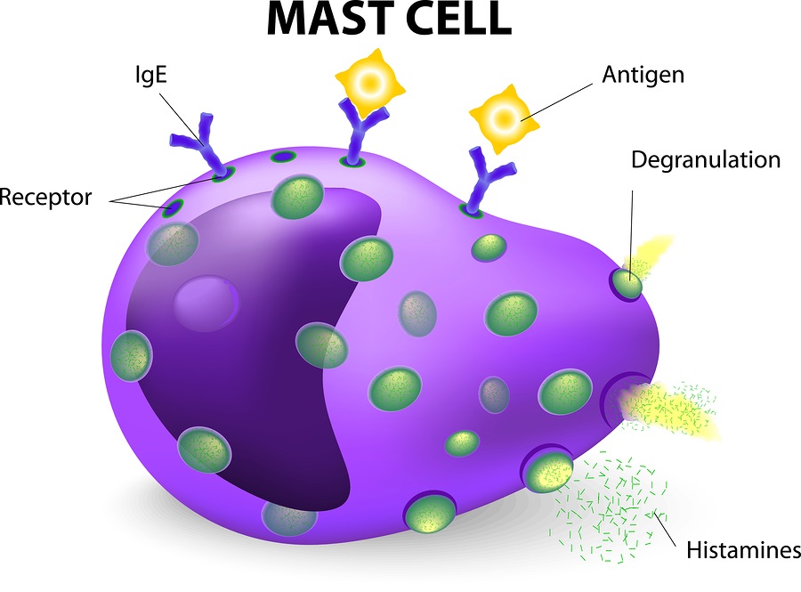 Tramadol and mast cells